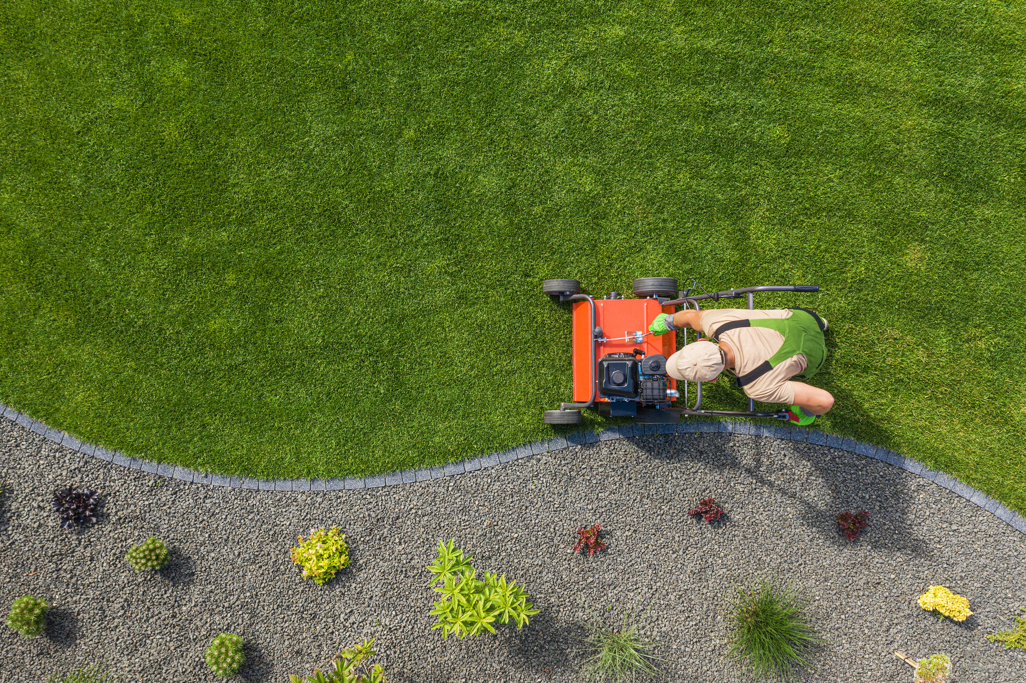 Gardener Using a Lawn Aerator on the Yard